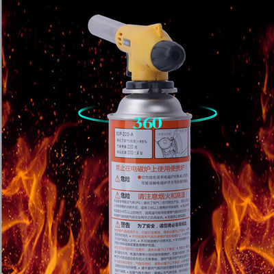 Allumeur automatique de torche de barbecue d'allumage du feu vif